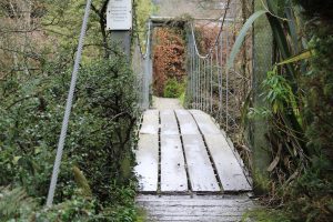 a picture of Mount Usher House and gardens