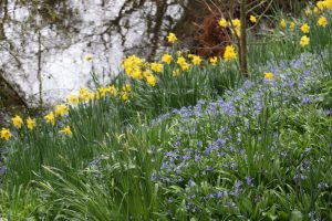 a picture of Mount Usher House and gardens