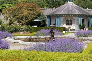 Killruddery House tearoom ©CreativeYoke